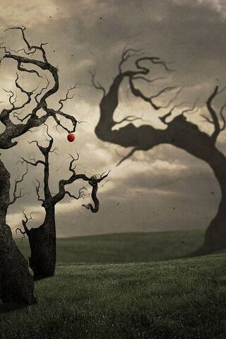 Whispers of the Eva Tre..
