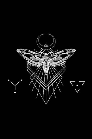 Whispers of the Night: The Death Moth's Enigma 🌙🦋