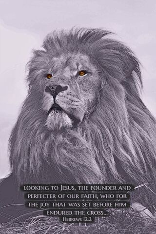 The Majestic Lion of Fa..