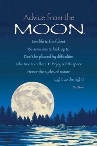 Wise Moon