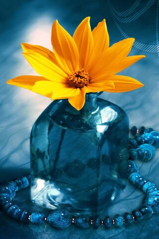 Siva's Serenity: A Blooming Reflection 🌼💧