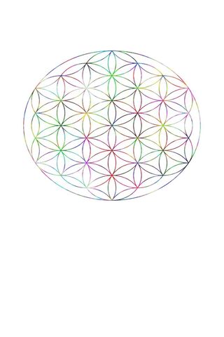 Vibrant Harmony: The Flower of Life