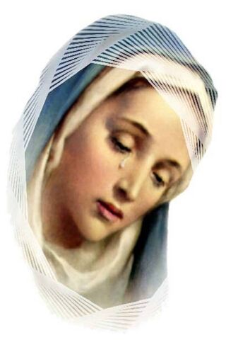 Divine Grace: The Mother of Compassion 🌟