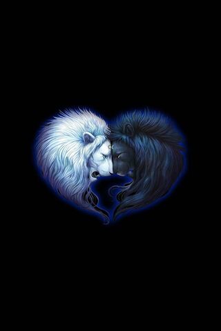 Harmony of the Ying Yang Lions 🦁❤️🖤