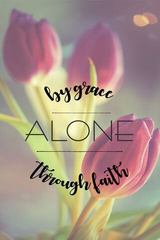 Blooming Faith: A Journey of Grace 🌷✨