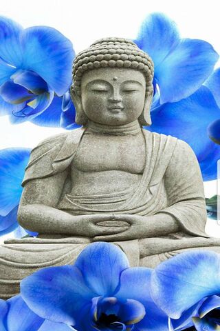 Serenity in Bloom: The Buddha's Embrace 🌸🧘