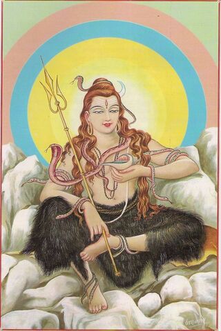 Shiva: The Cosmic Dance..