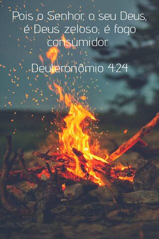 Fogo Consumidor