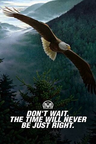 Soar to Success: Timeless Wisdom from Millionaires 🦅💰