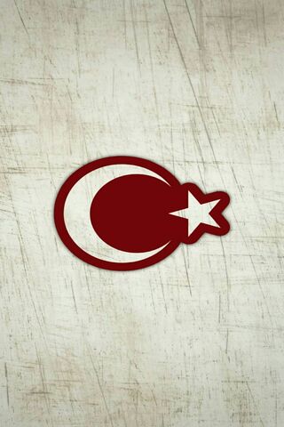 The Symbol of Unity: Ay Yıldız 🌙⭐
