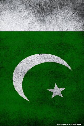 Pride of the Green: The Flag of Pakistan 🇵🇰