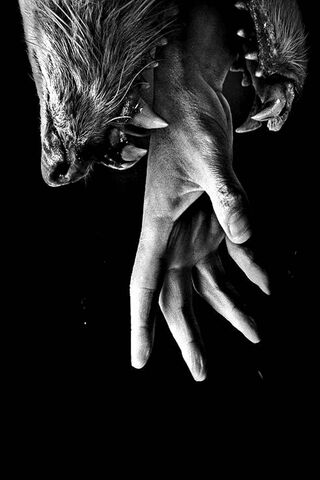 The Dark Embrace of Hemlock Grove 🌑🖤