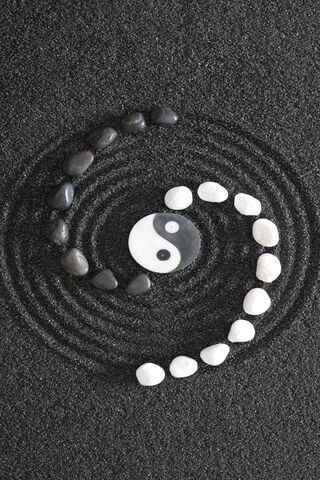 Harmony in Balance: The..