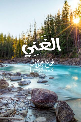 The Abundance of Nature: A Reflection of Allah's Blessings 🌊🌲