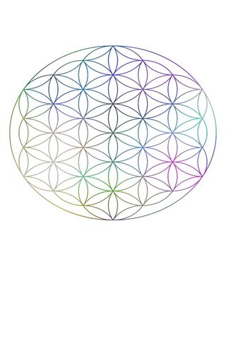 Harmony in Patterns: The Flower of Life 🌸✨