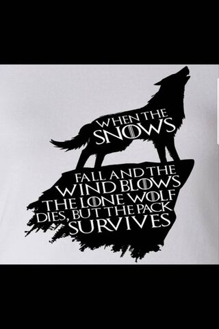 Strength in Unity: The Lone Wolf's Tale