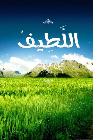 The Beauty of Al-Latif: A Divine Reminder 🌿✨