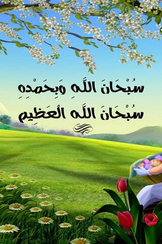 Celebrating the Beauty of Allah's Words 🌼✨