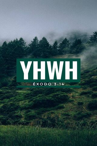 The Name Above All Names: YHWH 🌲✨