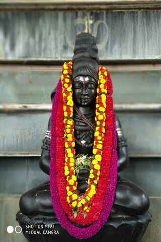 Divine Presence: The Es..