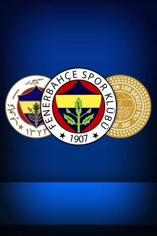 Fenerbahçe: A Legacy of Passion and Pride ⚽️💛💙