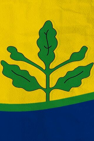 The Heart of Fenerbahçe: A Symbol of Passion and Pride 🌿💛💙