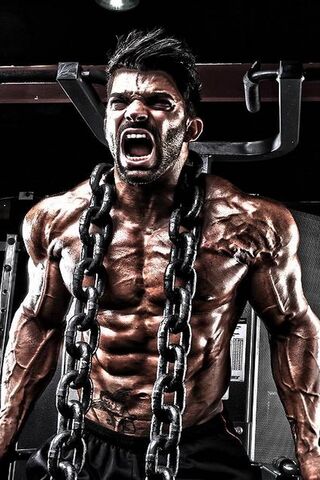 Unleashing the Beast: P..