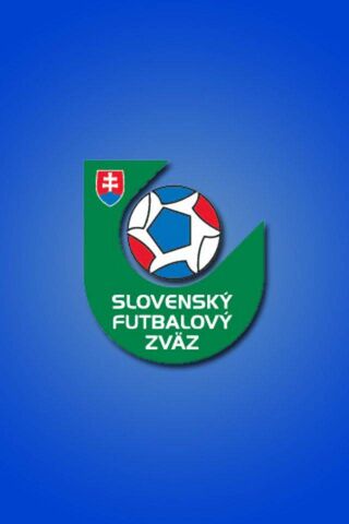 Slovakia's Football Pride ⚽🇸🇰