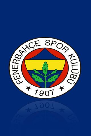 Fenerbahçe: The Heart of Turkish Sports! ⚽️💛💙
