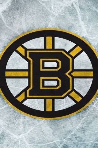 Boston Bruins: The Pride of the Ice! 🏒✨