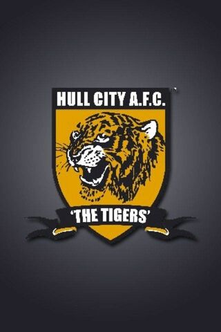 Roaring Pride: Hull City A.F.C. 🐯⚽