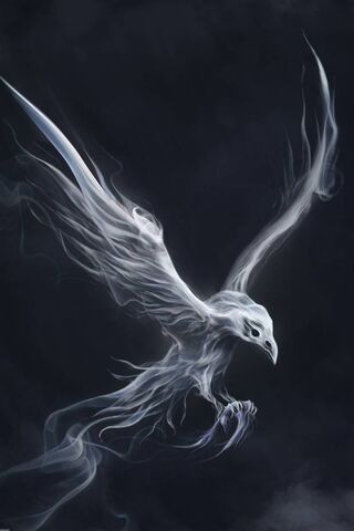 white raven wallpaper