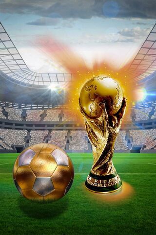 월드컵 2014