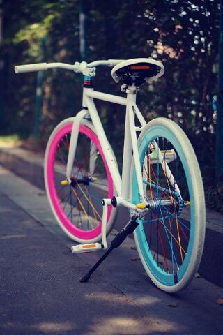 Colorful Ride: The Fixe..