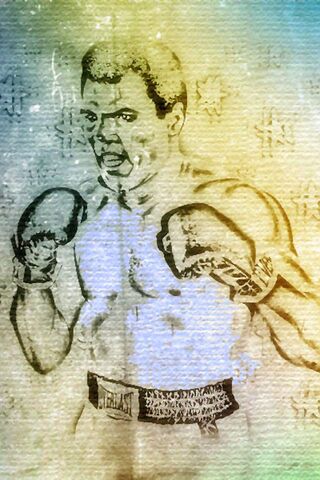 The Champion's Spirit 🥊✨