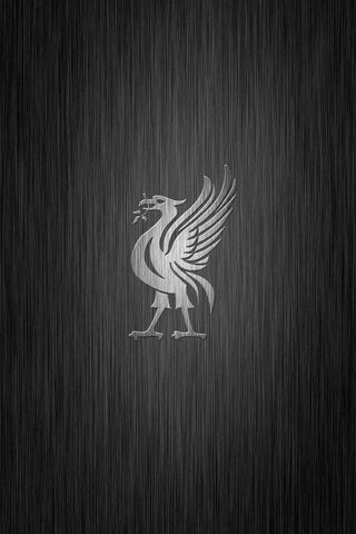 Shimmering Spirit of Li..