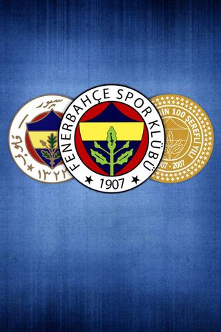 Fenerbahçe: A Legacy of Passion and Pride ⚽️💛💙