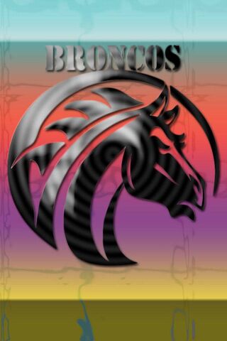 Broncos Spirit: A Bold ..