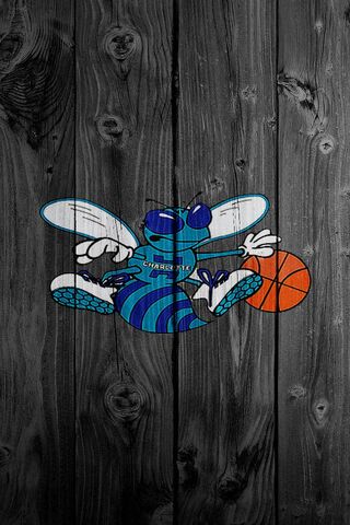 Charlotte Hornets