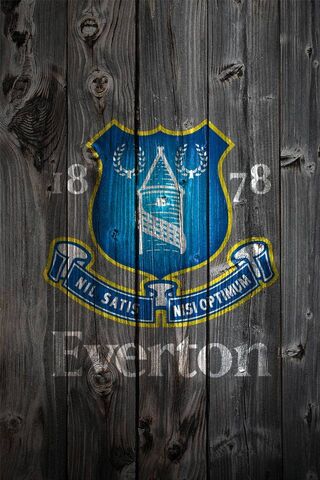 Everton: A Legacy of Passion and Pride ⚽️💙