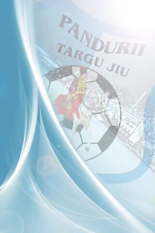 Pandurii Pride: A Glimpse into Târgu Jiu's Football Legacy ⚽️✨