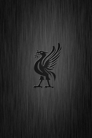 Mystique of the Liverbird: A Dark Elegance