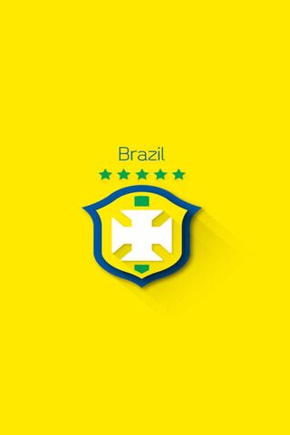 ฟุตบอลโลกบราซิล