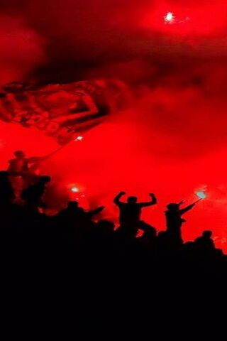 Delije: The Heartbeat of Passionate Support