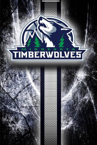 Download Blue And White Minnesota Timberwolves Wallpaper  Wallpaperscom
