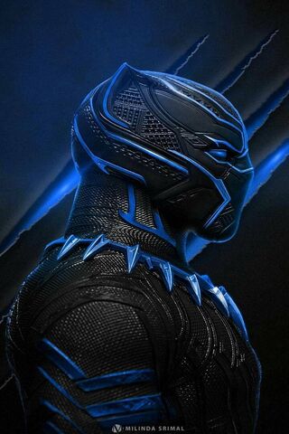 The Silent Guardian of ..