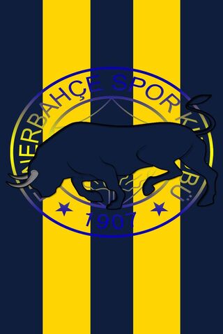 Fenerbahçe: The Spirit of the Yellow Canaries 🐦💛💙