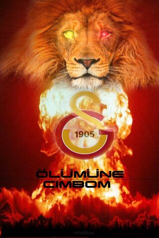 Galatasaray Cimbom