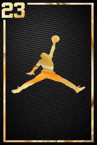 The Golden Legacy of 23 🏀✨
