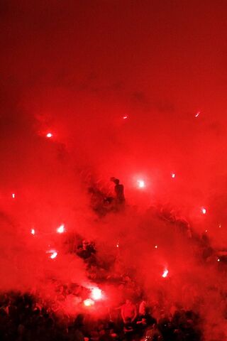 Fiery Passion: The Delije Experience 🔥❤️
